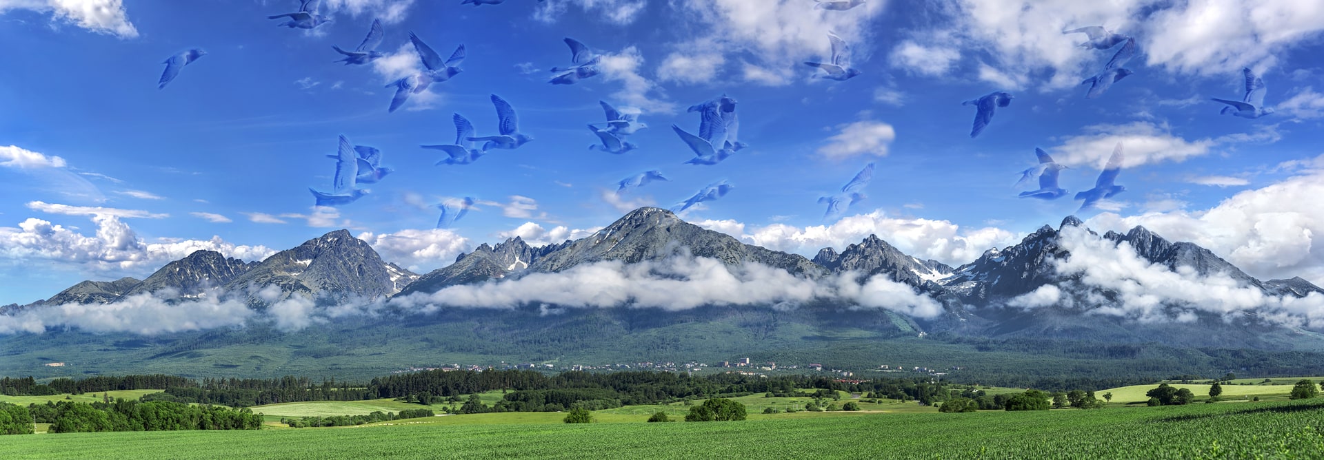 Tatry Derby — testovacia stanica pod Tatrami