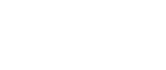 BENZING One Loft Races International